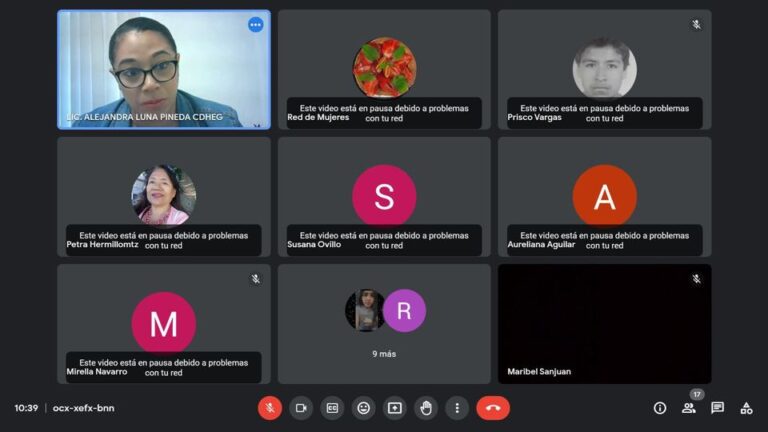 Alejandra Luna Pineda adscrita a la Dirección de Orientación, Quejas y Gestión de la Comisión de Derechos Humanos del Estado de Guerrero; participa en la charla virtual denominada «La historia contada por sus protagonistas
