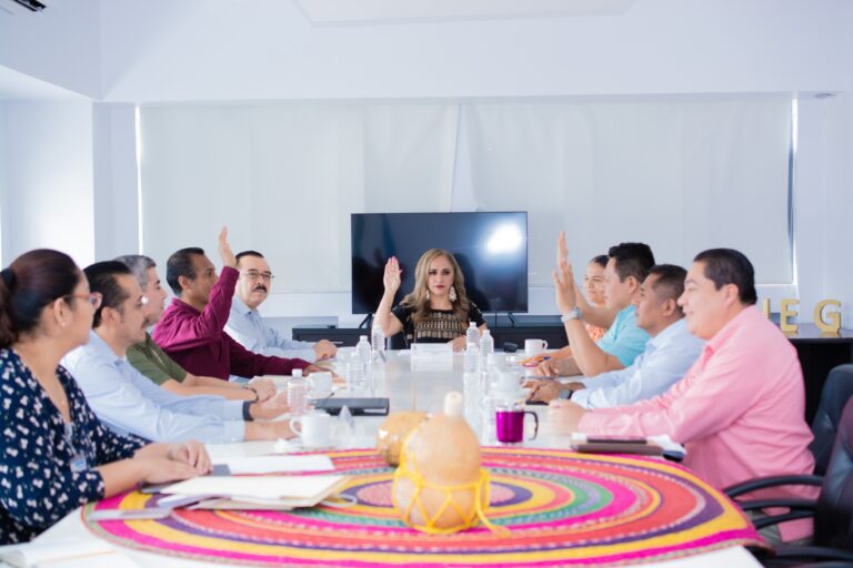 LA PRESIDENTA DE LA CDHEG COORDINA LA SESIÓN DE CONSEJO CONSULTIVO DEL MES DE AGOSTO DE 2023