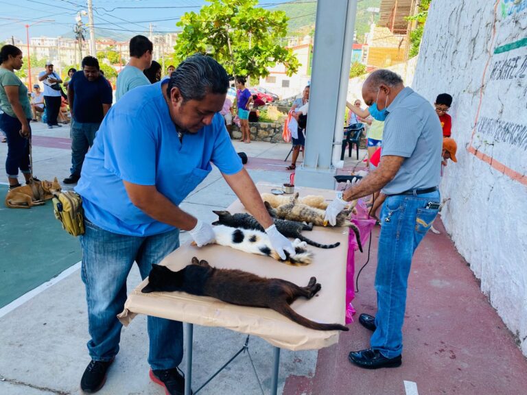 Realiza Gobierno de Abelina López Rodríguez campaña de “Esterilización de Mascotas” en el Coloso