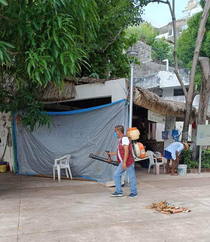 Intensifica Gobierno de Abelina López Rodríguez fumigación en colonias y comunidades