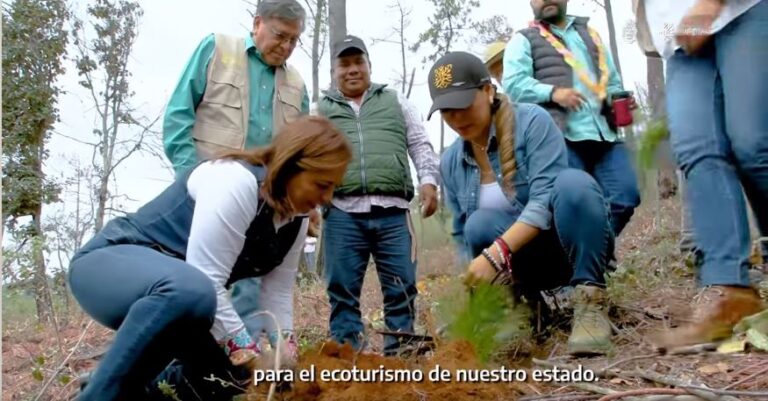 Comprometidos por un Guerrero verde, de la mano de pueblo reforestamos el Ejido de Llanos de Tepoxtepec en Chilpancingo: Evelyn Salgado