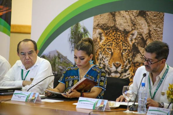 Nos mantenemos firmes en hacer un gobierno transformador con el combate a la corrupción: Evelyn Salgado