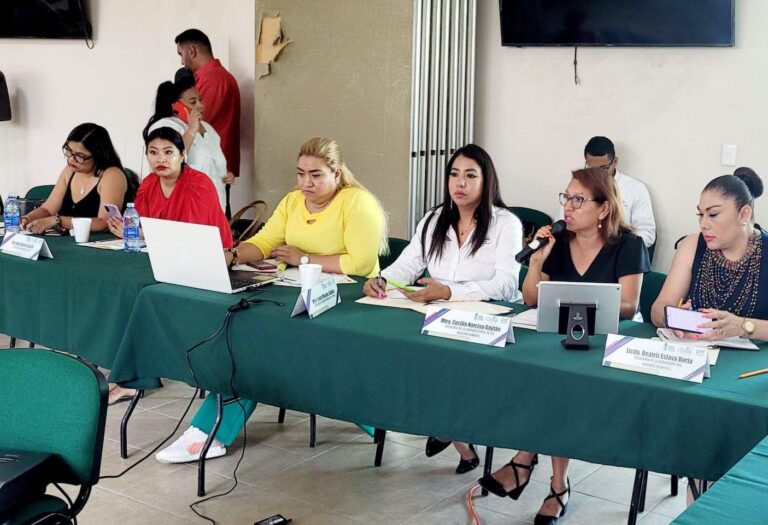 “CDHEG PARTICIPA EN TRABAJOS DE LA IX SESIÓN ORDINARIA DE LA COMISIÓN DE ÓRDENES DE PROTECCIÓN”