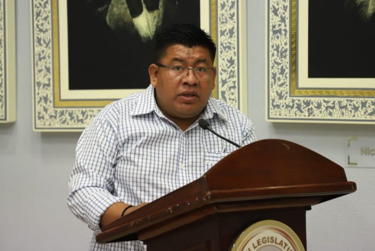 PROPONEN EN EL CONGRESO GARANTIZAR PENSIÓN ALIMENTICIA A ESTUDIANTES MAYORES DE EDAD