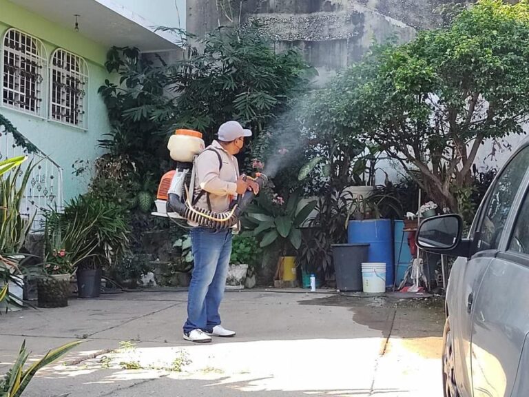 Gobierno de Abelina López Rodríguez intensifica acciones preventivas contra el Dengue, Zika y Chikungunya