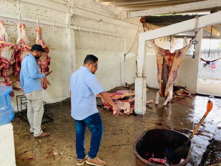 Clausura gobierno de Abelina López Rodríguez rastro tolerado en La Sabana