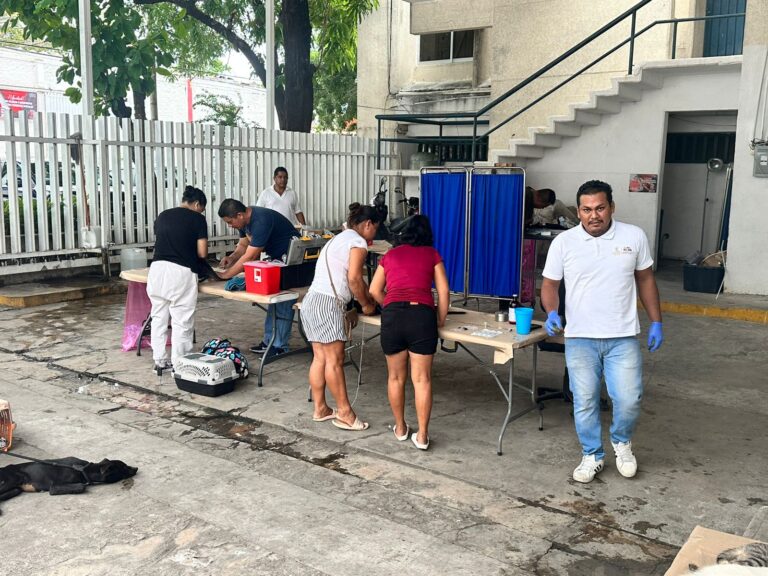 Realiza Gobierno de Abelina López Rodríguez jornada de esterilización en Hogar Moderno