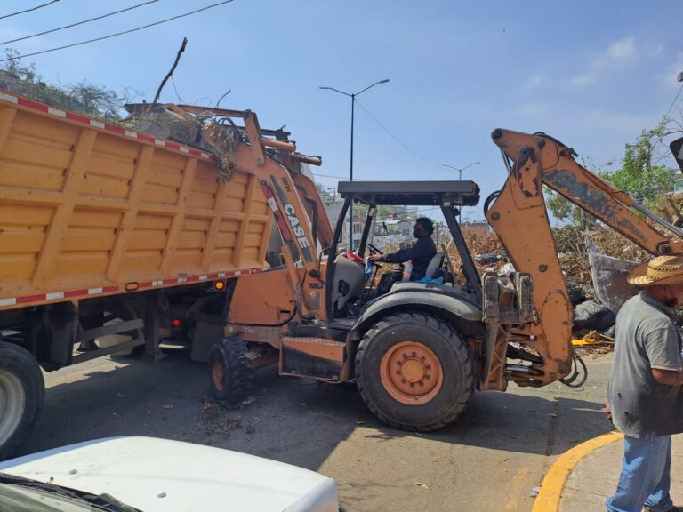 Implementa Gobierno de Abelina López Rodríguez jornadas de limpieza en carretera México-Acapulco