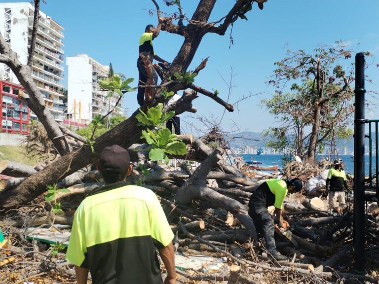 Atiende Gobierno de Abelina López Rodríguez solicitudes de limpieza en la zona tradicional