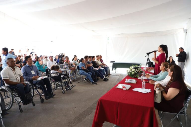 INFRAESTRUCTURA ADECUADA, INCLUSIÓN LABORAL Y NO DISCRIMINACIÓN, LAS DEMANDAS EN EL PARLAMENTO DE LAS PERSONAS CON DISCAPACIDAD