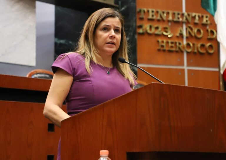 PLANTEAN EXHORTO AL GOBIERNO FEDERAL PARA LA ATENCIÓN DE DAÑOS POR LA TORMENTA TROPICAL “MAX”