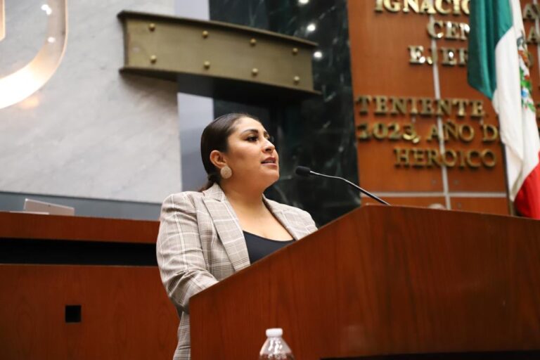 PROPONE DIPUTADA PROMOVER REFORESTACIONES CON ÁRBOLES ENDÉMICOS