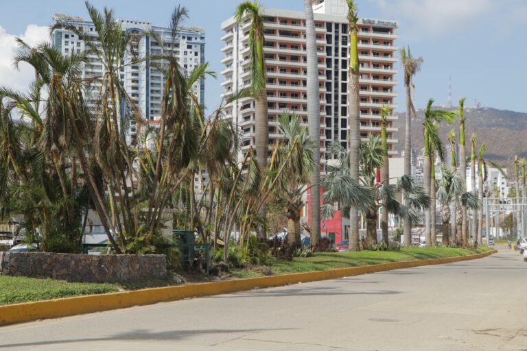 Trabaja Gobierno de Abelina López Rodríguez en limpieza y recuperación de áreas verdes