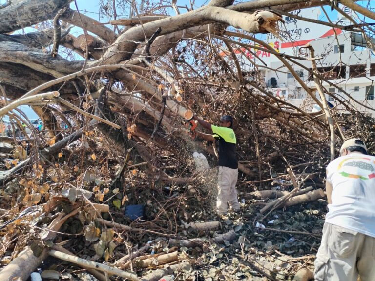 Libera Gobierno Municipal espacio en el Zócalo de Acapulco y habilita ambos carriles en la Garita