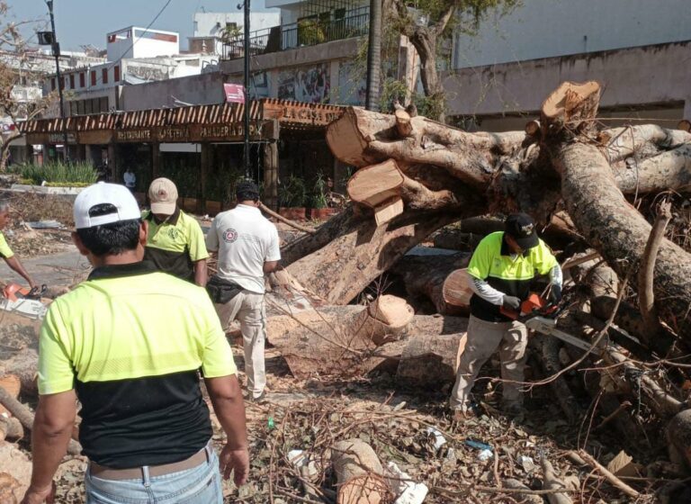 Continúa Gobierno de Abelina López Rodríguez contribuyendo en trabajos de búsqueda y rescate de personas