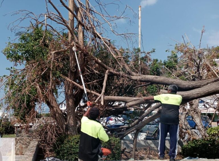 Avanza Gobierno de Abelina López Rodríguez con la limpieza del primer cuadro de la ciudad