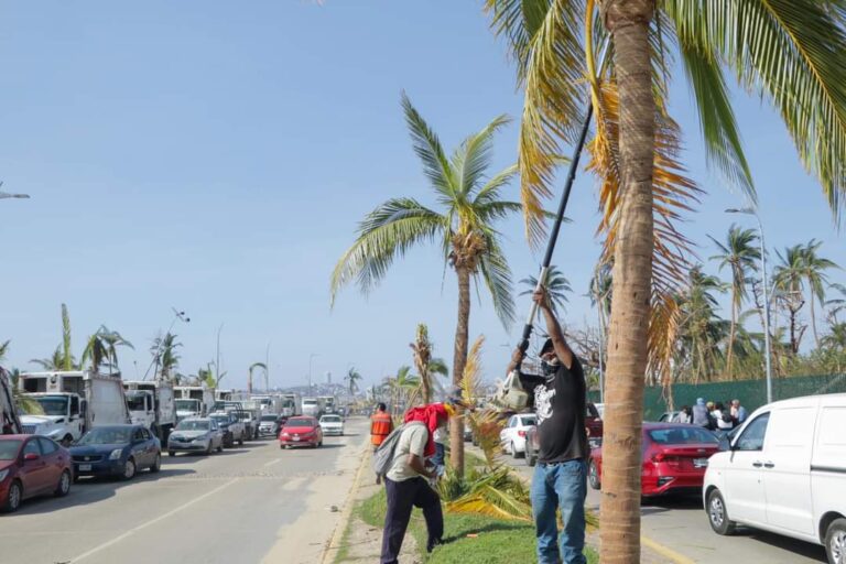 Informa Gobierno de Abelina López Rodríguez sobre avance en la limpieza del camellón central de la Costera Miguel Alemán