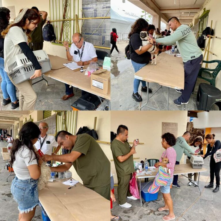 Intensifica Gobierno de Abelina López Rodríguez jornadas de fumigación