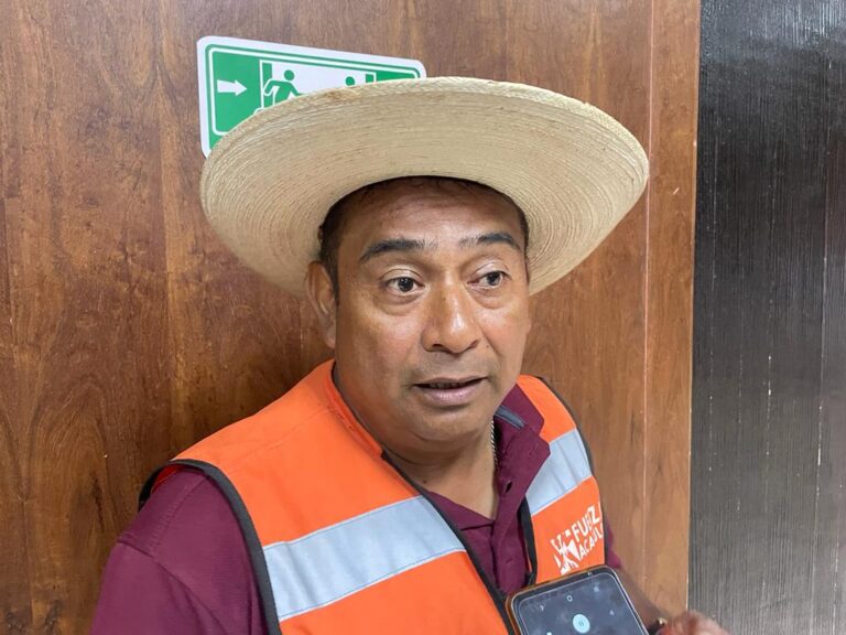 Implementa Gobierno de Abelina López trabajos de saneamiento y reforestación en camellones de la ciudad