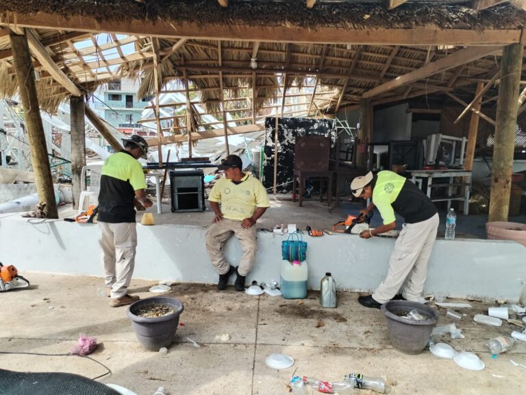 Mantiene Gobierno de Abelina López Rodríguez jornada de limpieza en Playa Manzanillo