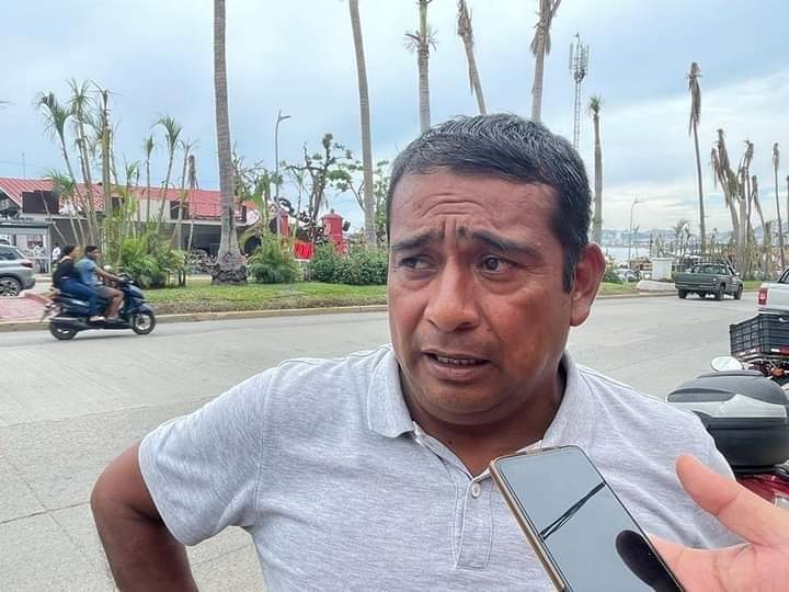 Rehabilita Gobierno de Abelina López Rodríguez palmeras de la Costera Miguel Alemán