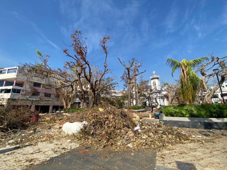 Continúa Gobierno de Abelina López Rodríguez con la limpieza del Zócalo