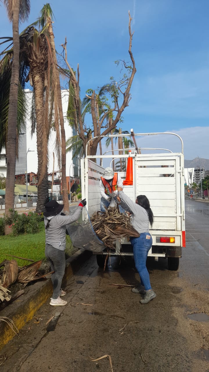 Avanza Gobierno de Abelina López Rodríguez con mantenimiento de camellones en la Costera