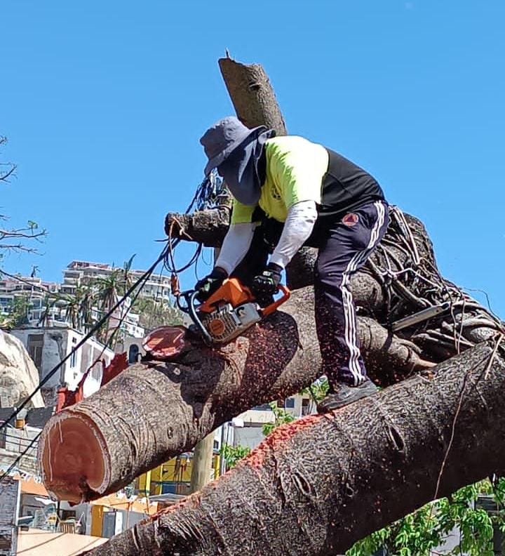 Realiza Gobierno de Abelina López Rodríguez trabajos de limpieza en zona tradicional