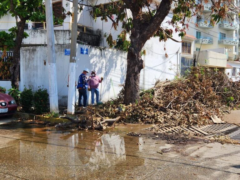 Estudiantes y profesores de la Escuela Superior de Diseño y Arquitectura de Taxco se moviliza para realizar labores de limpieza