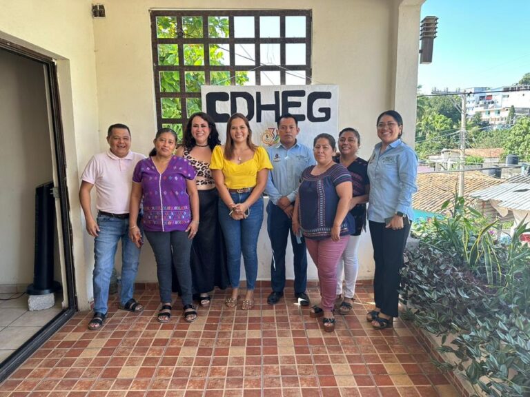 Para la maestra Cecilia Narciso Gaytán, presidenta de la CDHEG, es fundamental fortalecer los procesos que lleven al funcionamiento óptimo de este organismo Público