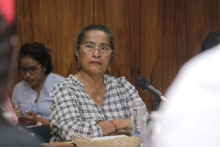 Mantiene Gobierno de Abelina López Rodríguez programa de descuentos en licencias de conducir e infracciones