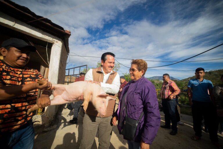 “Le apostamos al campo”, entrega Mario Figueroa lechones a familias de 15 comunidades de Taxco
