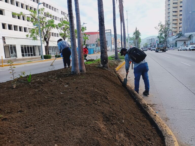 Continúa Gobierno de Abelina López Rodríguez restauración de áreas verdes en Costera Miguel Alemán