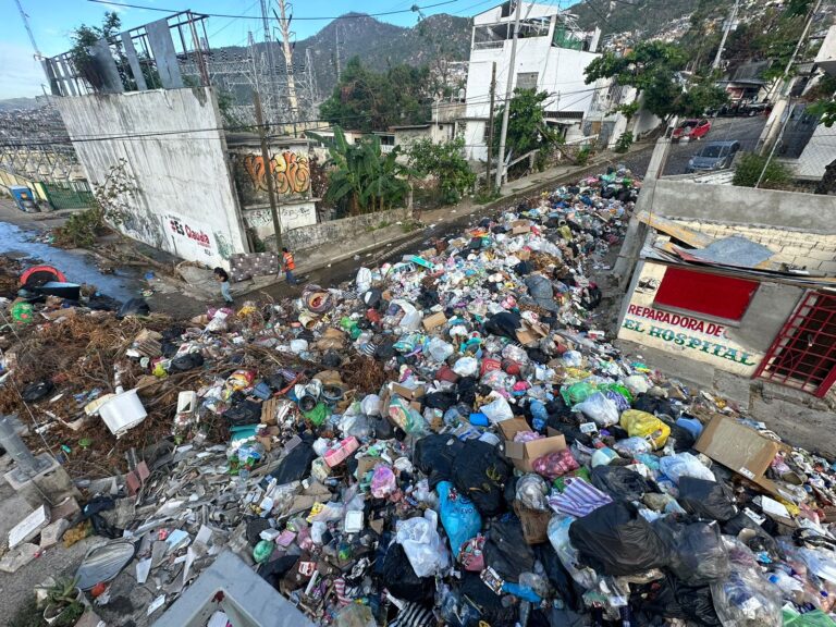Limpia Gobierno de Abelina López Rodríguez calle Guadalupe Victoria en Vista Hermosa
