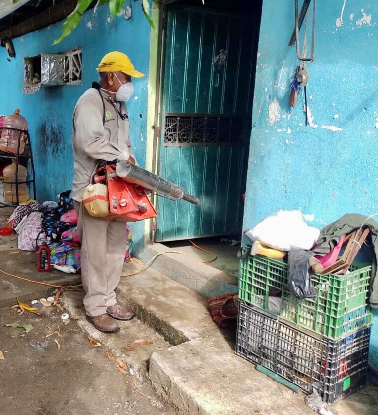Fumiga y abatiza Gobierno de Abelina López Rodríguez viviendas de Ciudad Renacimiento