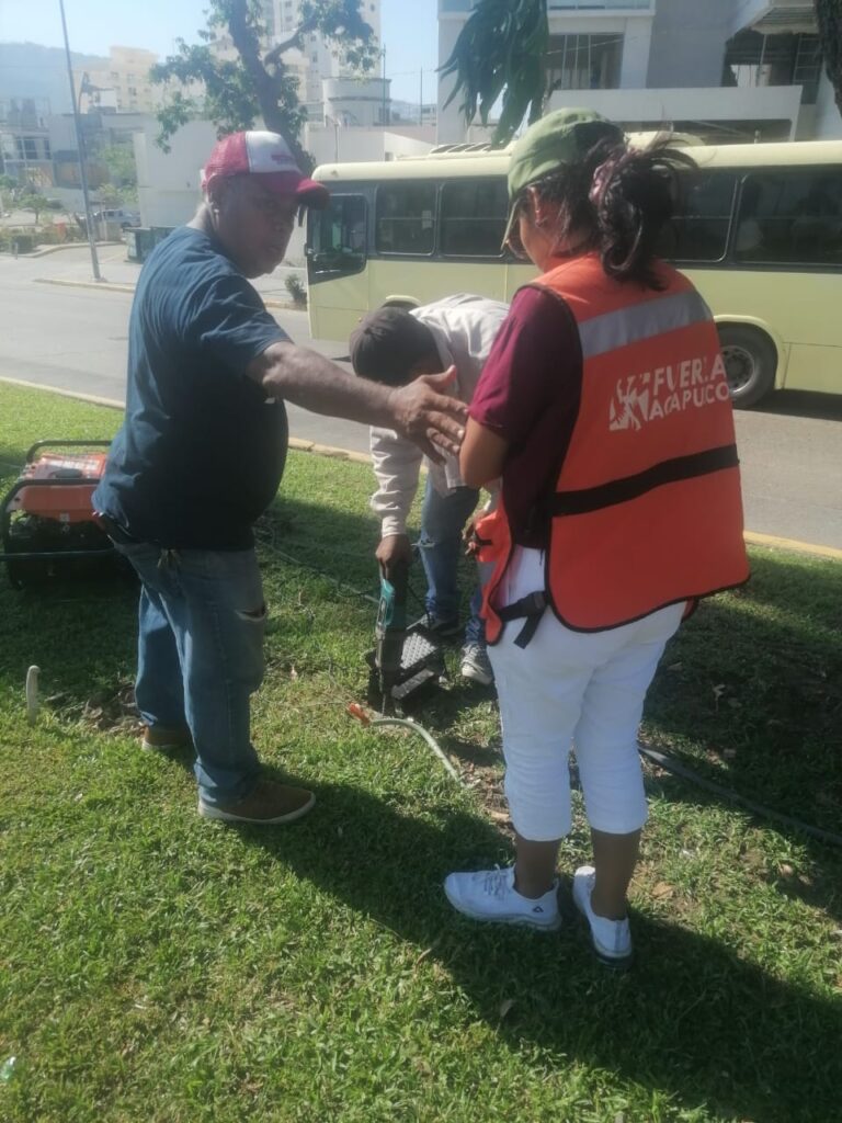 Reinstala Gobierno de Abelina López Rodríguez luminarias en camellones de la costera Miguel Alemán