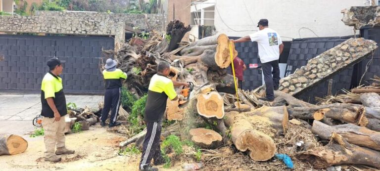 Atiende Gobierno de Abelina López Rodríguez reportes de la ciudadanía