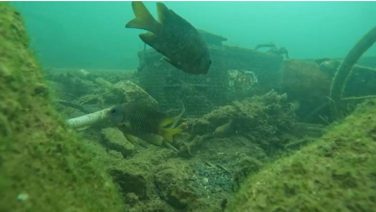 Más de 600 baterías de embarcaciones hundidas por Otis, contaminan la Bahía de Acapulco