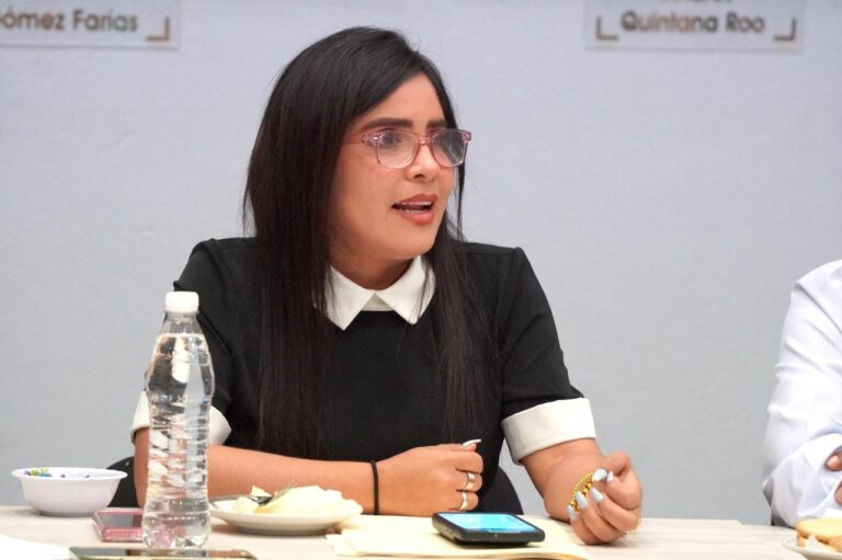 No debemos subestimar las protestas de colonos damnificados en Acapulco: Yoloczin Domínguez