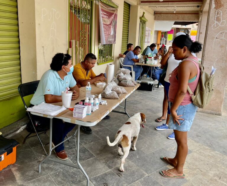 Brinda Gobierno de Abelina López Rodríguez 500 consultas veterinarias