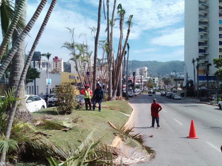 Trabaja Gobierno de Abelina López Rodríguez en el mantenimiento de áreas verdes