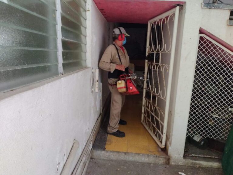 Intensifica Gobierno de Abelina López Rodríguez fumigación en colonias