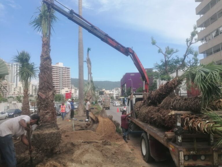 Continúa Gobierno de Abelina López Rodríguez restaurando áreas verdes en Costera