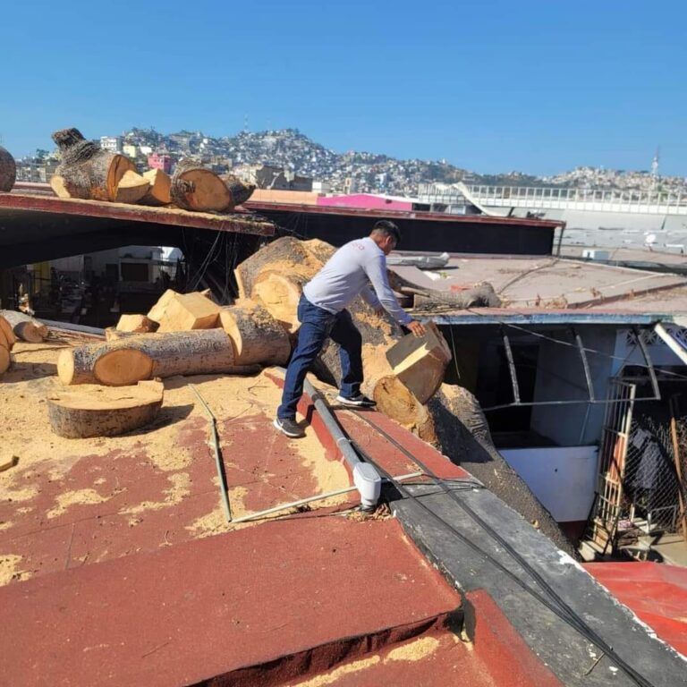 Retira Gobierno de Acapulco árboles caídos en mercados de Acapulco