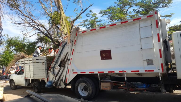 Realiza Gobierno de Acapulco limpieza de camellones en Ciudad Renacimiento