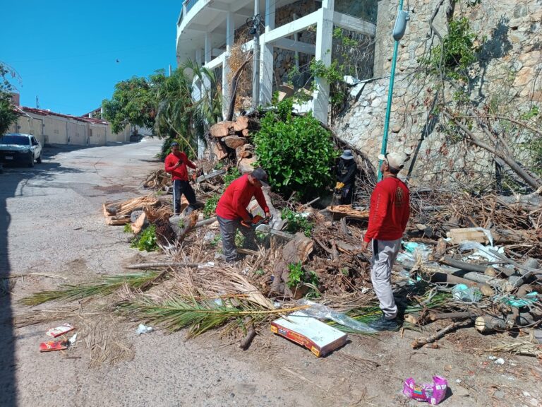 Libera Gobierno de Abelina López Rodríguez vialidades afectadas por árboles caídos en Condesa y Jardín Azteca