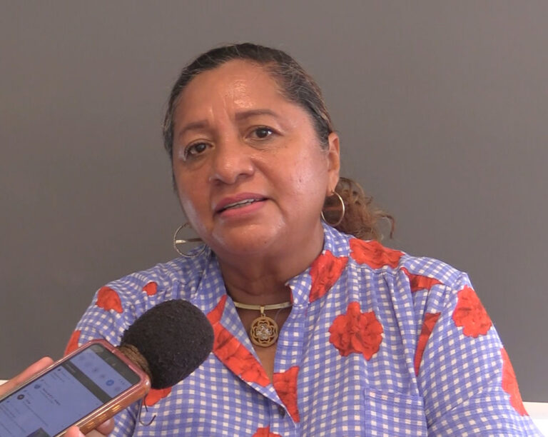 Invita Gobierno de Abelina López Rodríguez al “Juguetón 2024”