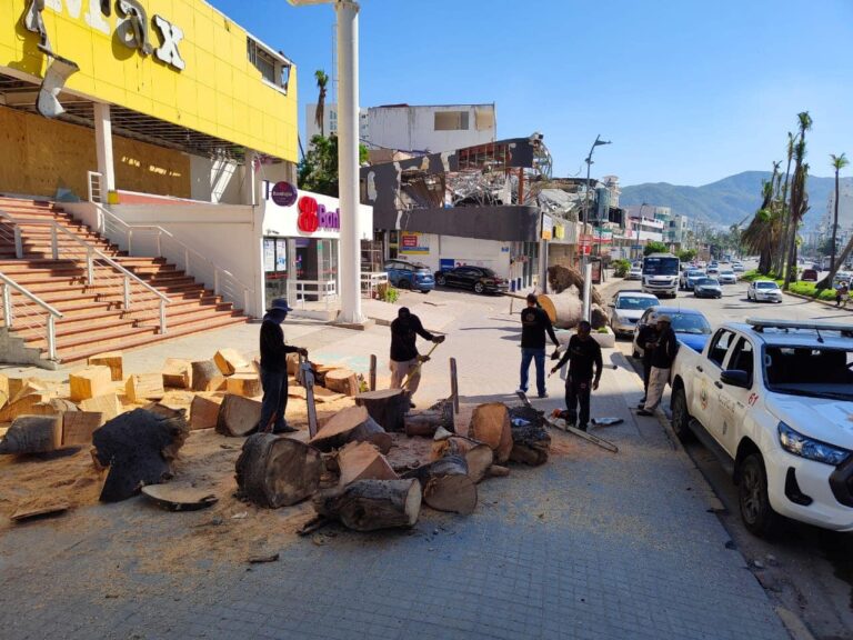 Realiza Gobierno de Acapulco retiro de árboles caídos en la avenida costera Miguel Alemán