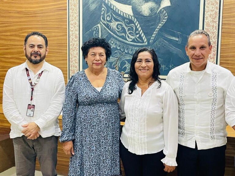 Sostiene Gobierno de Acapulco reunión con la Federación y Estado para contraatacar el dengue