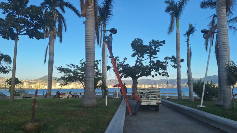 Repara Gobierno de Acapulco más de 60 luminarias
